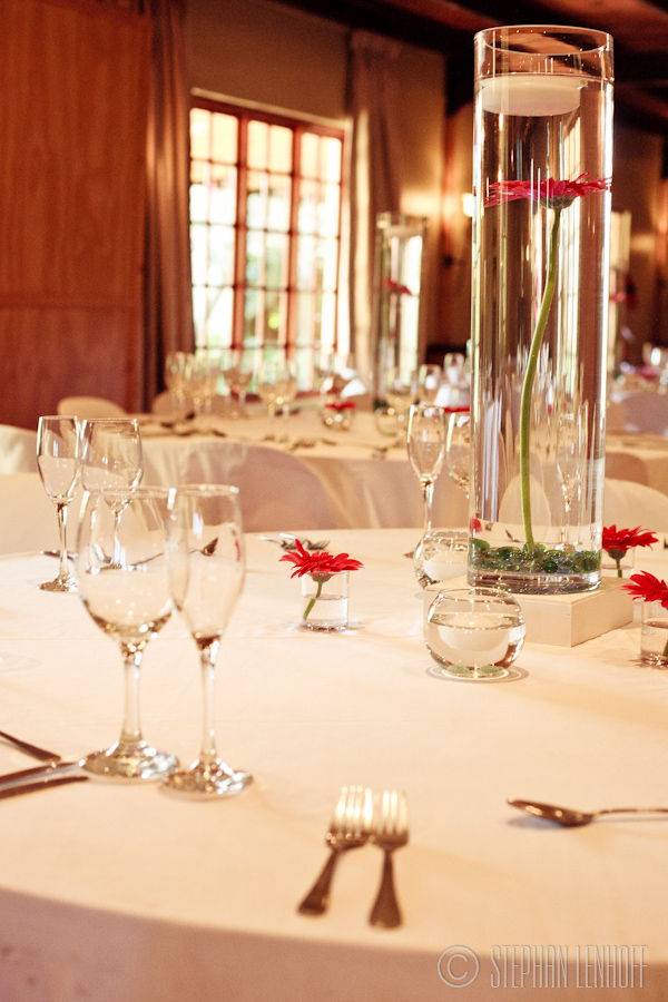 Wedding_Jaco_Lydia_Skilpadvlei-6344