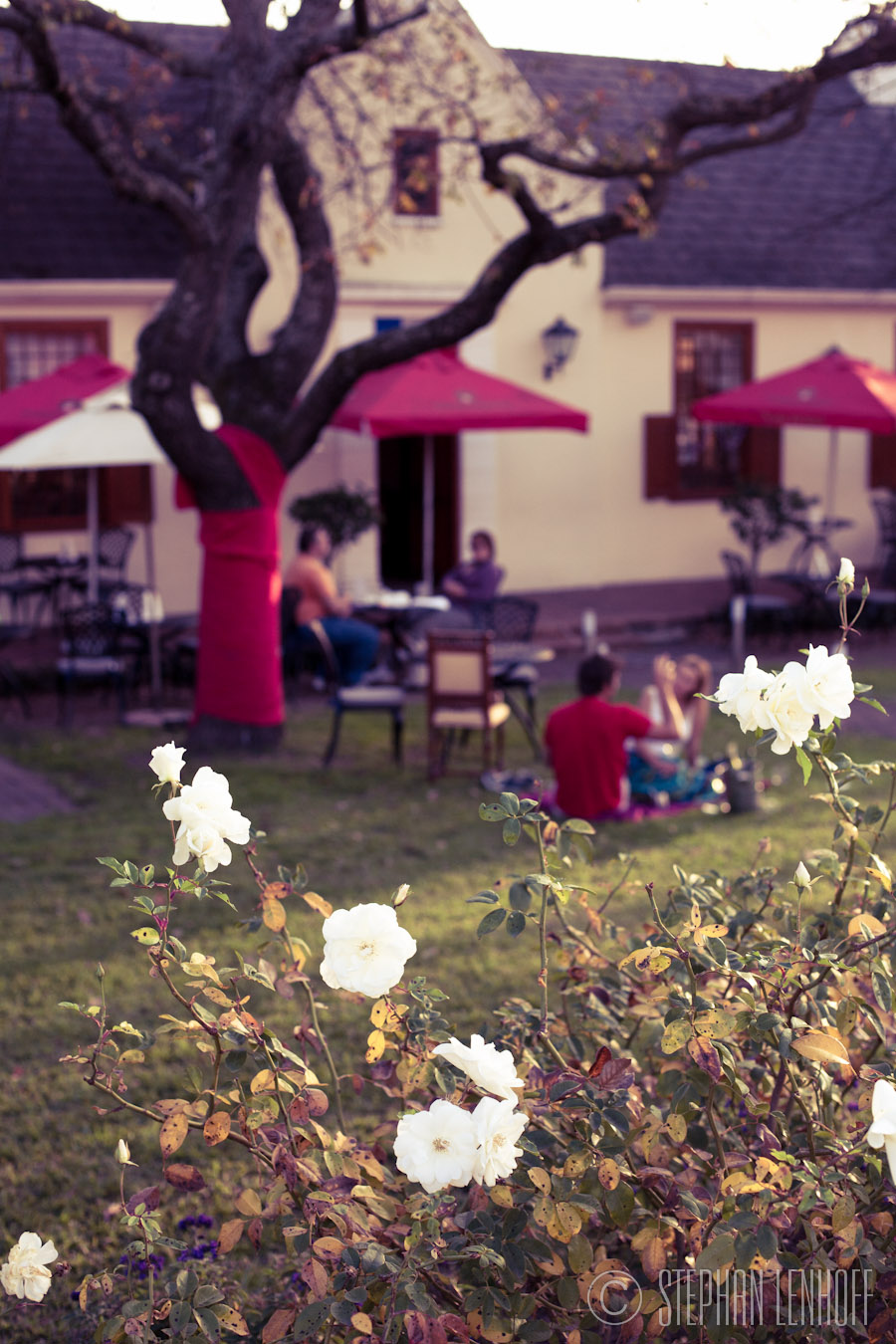 bastille day franschhoek bastille day franschhoek