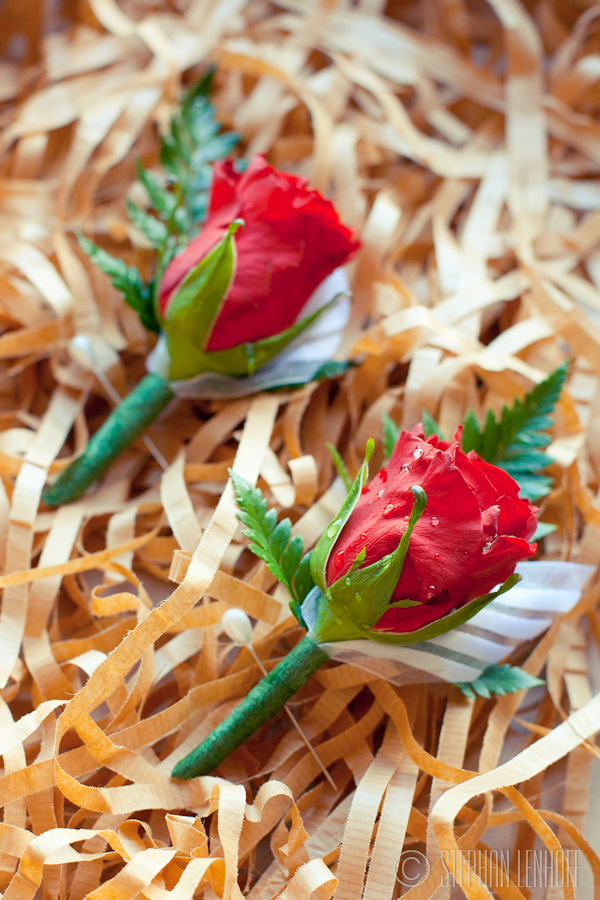 Johan_Chrizette_Blue_Bay_Lodge-6503