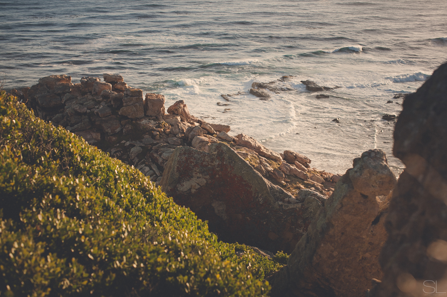 Cape-Point-37